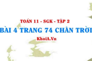 Bài 4 trang 74 Toán 11 Tập 2 Chân trời sáng tạo